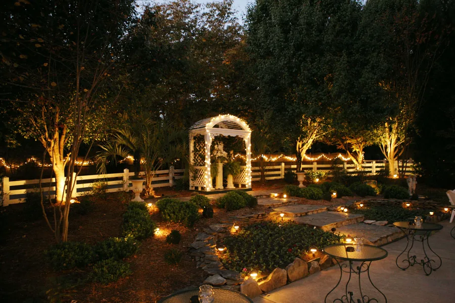 Garden uplighting after dark